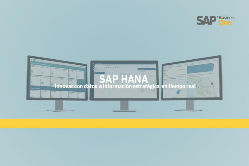 Qué es la tecnología in memory de SAP Business One HANA