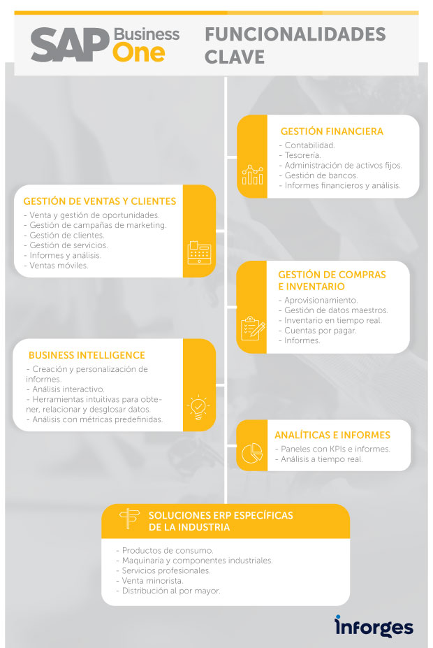 Infografía SAP Business One Solución Global