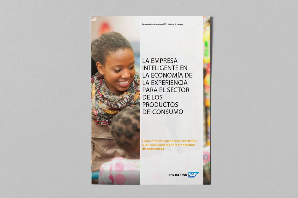 PDF La empresa inteligente en la economía de la experiencia para el sector de los productos de consumo