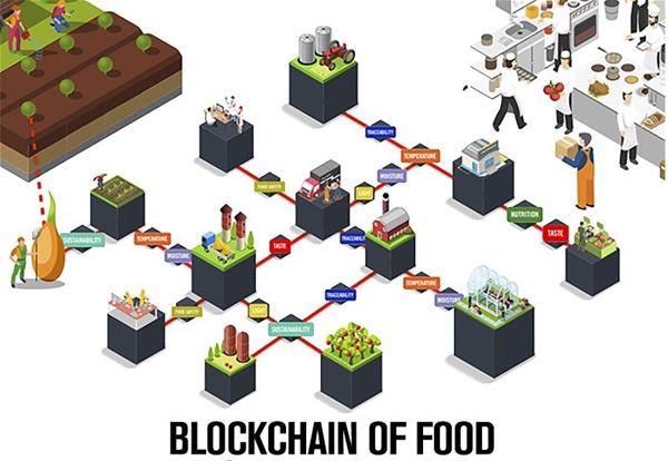 Blockchain, Smart Agro y Logística