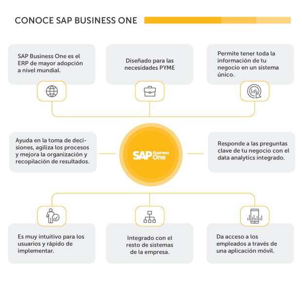 Conoce SAP Business One Inforges
