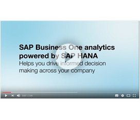 Dashboard Analysis con SAP Business One powered ba SAP HANA