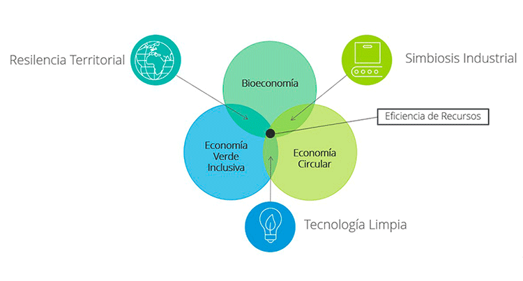 Transformación digital: Proyectos tecnológicos en la economía verde