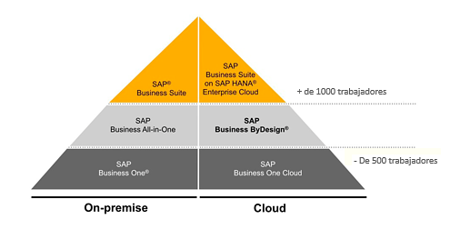 SAP Business One on-premise y cloud