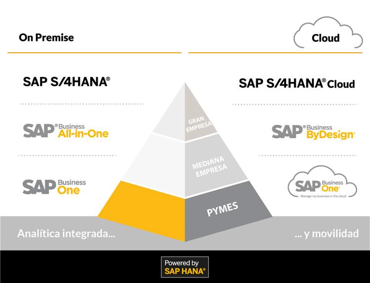 Soluciones ERP de SAP Business One para empresas