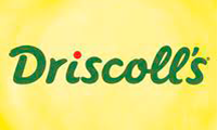 Logo driscoll