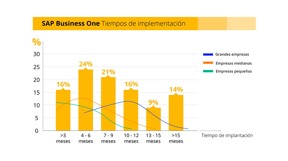 Implantación SAP Business One