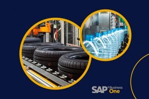 Software ERP para la Industria del Plástico y Caucho. SAP Business One