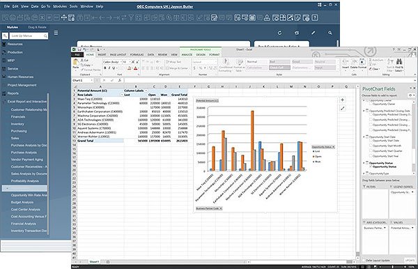 Excel Report e Interactive Analysis Designer