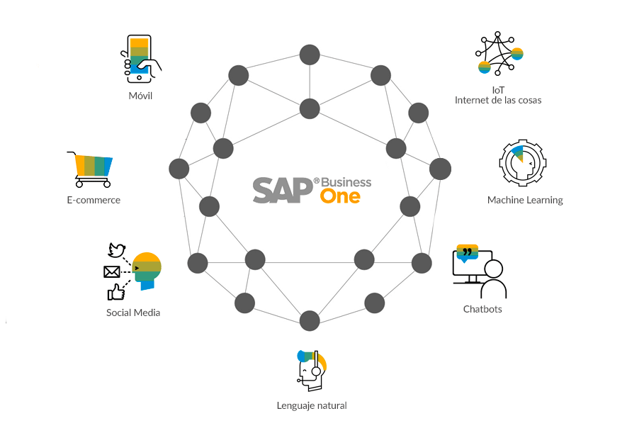 SAP Business One centro economía digital