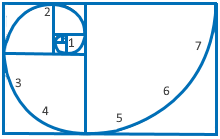 Espiral de Fibonacci (con fases). Fuente: ResearchGate – Peter Oeij