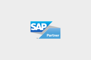 ¿Qué es un SAP Partner?