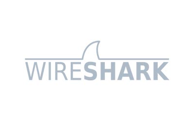 Hacking Ético y Pentesting para empresas 4 logo-wireshark