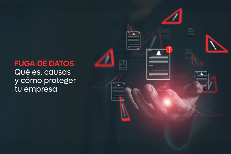 Fuga de datos: qué es, causas y cómo proteger tu empresa