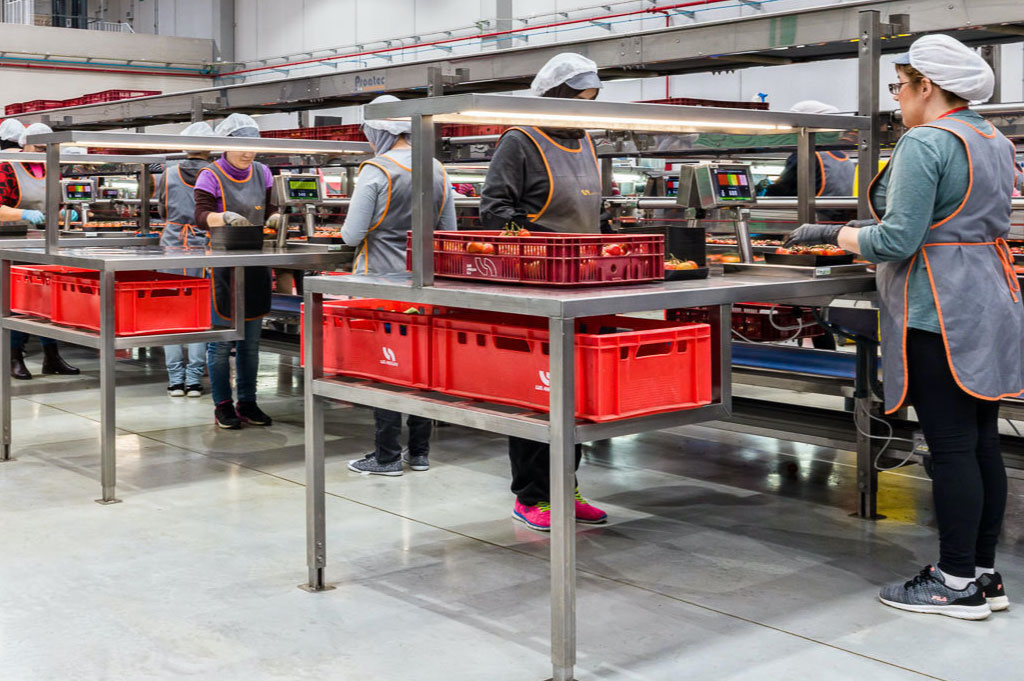 ERP Hortofrutícola Fruttec 1 Módulos del ERP Hortofrutícola Fruttec