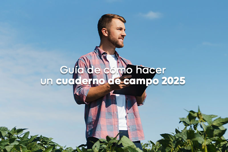 Guía de cómo hacer un cuaderno de campo 2025