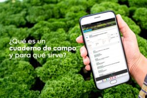 ¿Qué es un cuaderno de campo y para qué sirve?