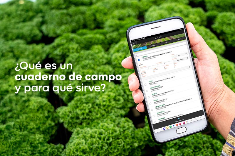 ¿Qué es un cuaderno de campo y para qué sirve?