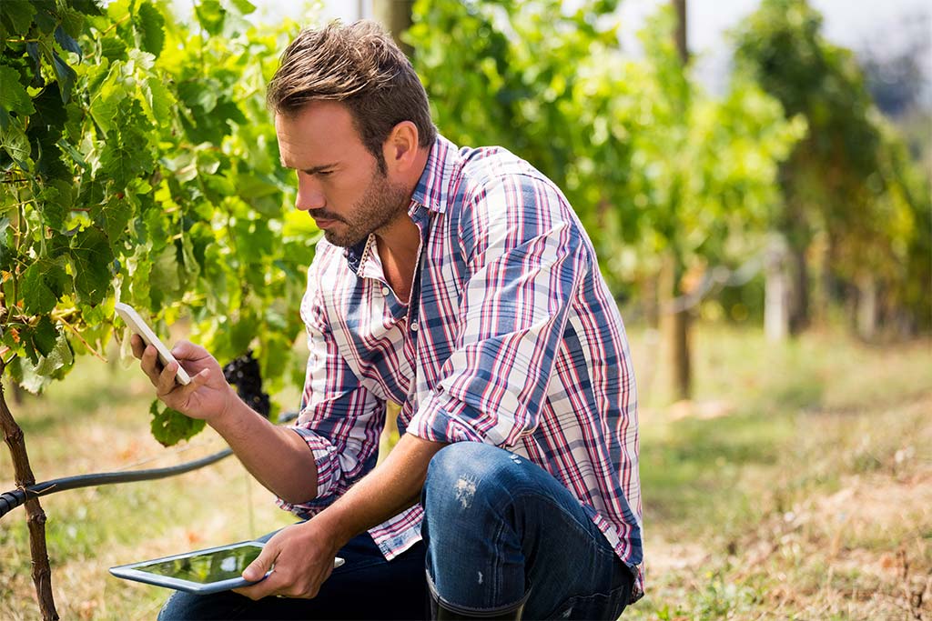 Business Wine: ERP para bodegas de SAP Business One 6 Obtén el control total de tu bodega con el ERP vinícola certificado por SAP