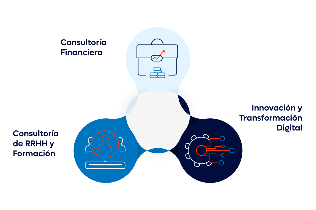 Servicios de consultoría 360º que ofrecemos en Inforges